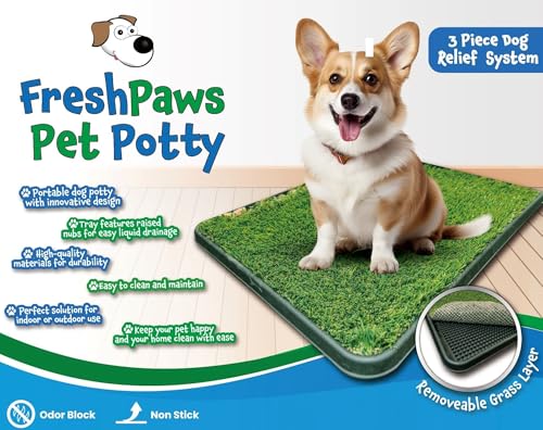 What is the Best Indoor Dog Potty System