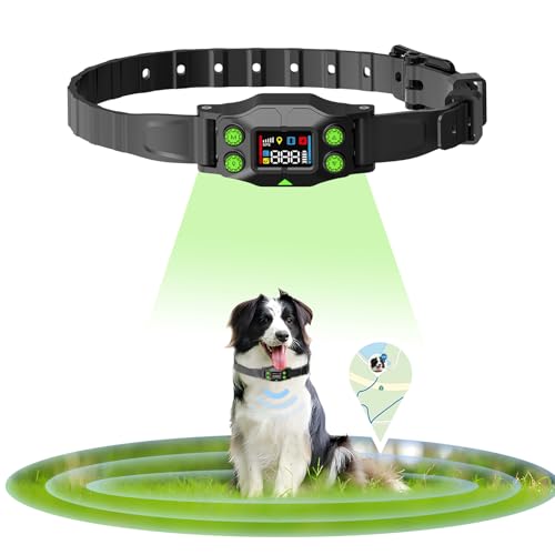 What is the Best Invisible Dog Fence