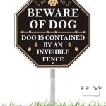 What is the Best Invisible Fence for Dogs