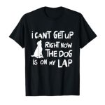 What is the Best Lap Dog
