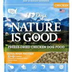 What is the Best Raw Dog Food