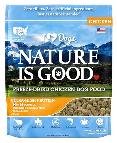 What is the Best Raw Dog Food
