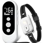 What is the Best Shock Collar for Dogs