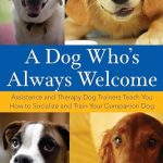 What is the Best Therapy Dog