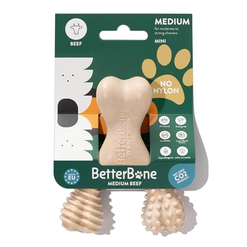 What is the Best Thing for Dogs to Chew on
