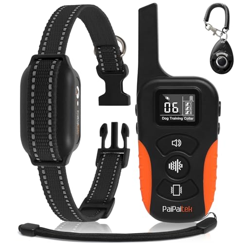What is the Best Training Collar for Dogs