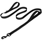 What Leash is Best for a Dog That Pulls