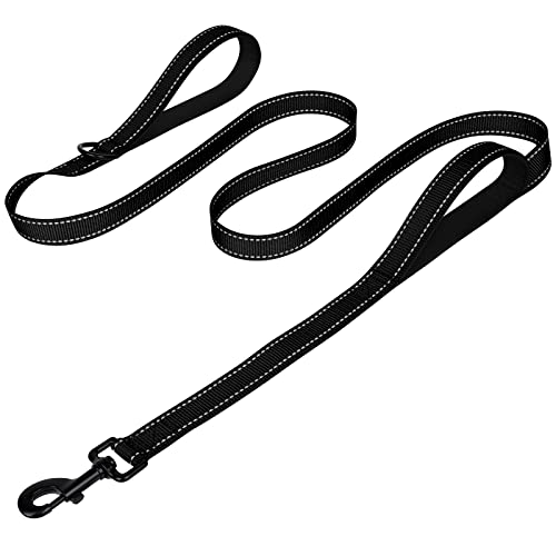 What Leash is Best for a Dog That Pulls
