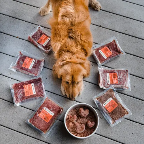 What Raw Food is Best for Dogs