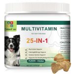 What Small Dog is Best for Seniors