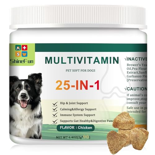 What Small Dog is Best for Seniors