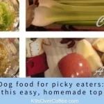 What to Put in Homemade Raw Dog Food Toppers Recipe