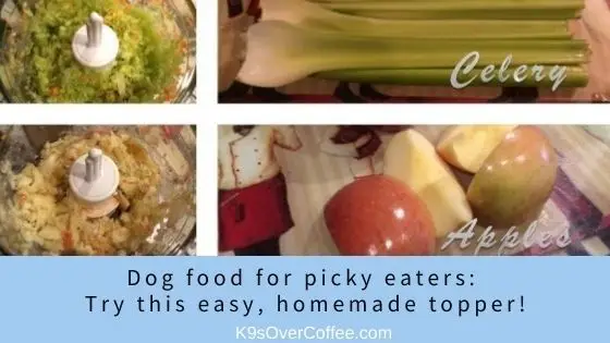 What to Put in Homemade Raw Dog Food Toppers Recipe