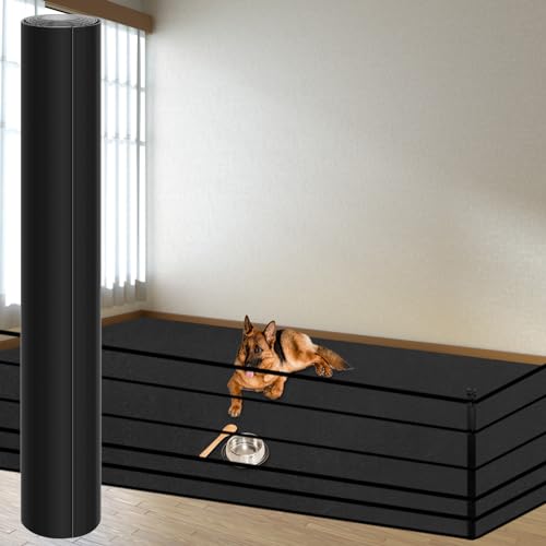 What Type of Flooring is Best for Dogs