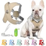 What Type of Harness is Best for a Dog
