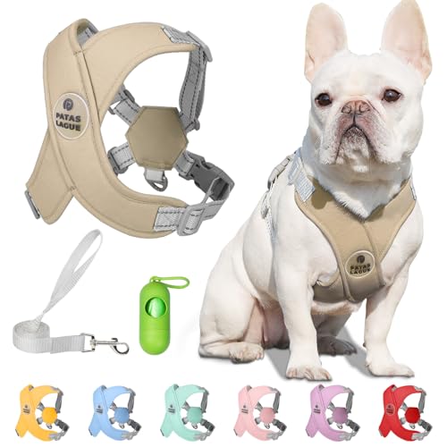 What Type of Harness is Best for a Dog