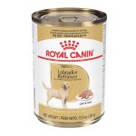 What Wet Dog Food is Ok for Adults And Puppies