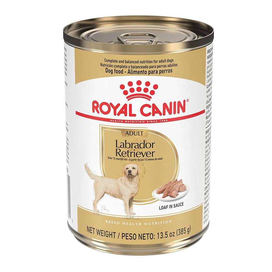What Wet Dog Food is Ok for Adults And Puppies