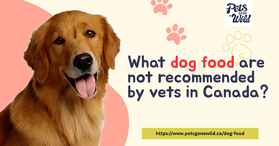 What'S Negative About a Grain-Free Diet for Dogs