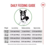 When Can Dogs Have Adult Dog Food