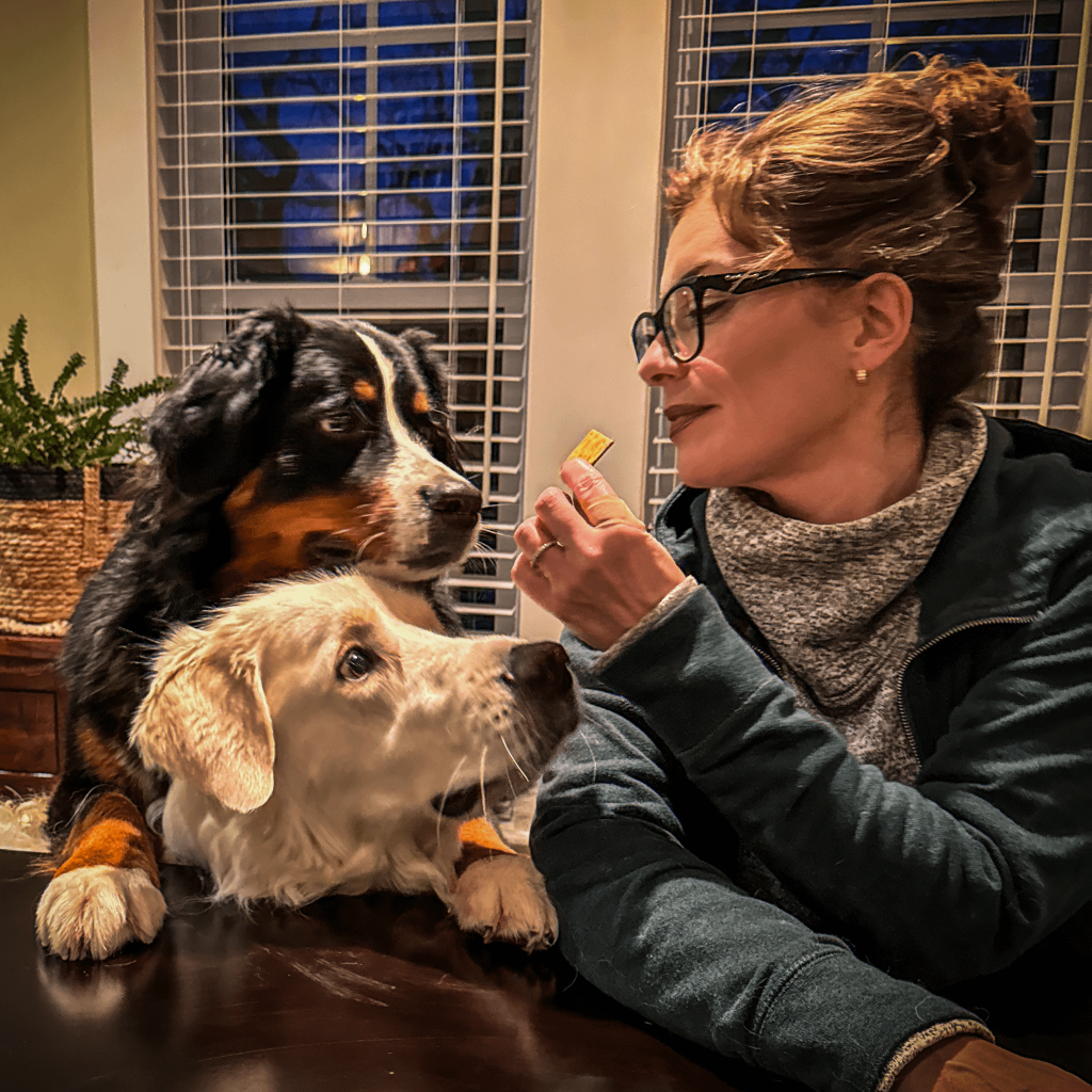 When Can Great Pyrenees Eat Adult Dog Food