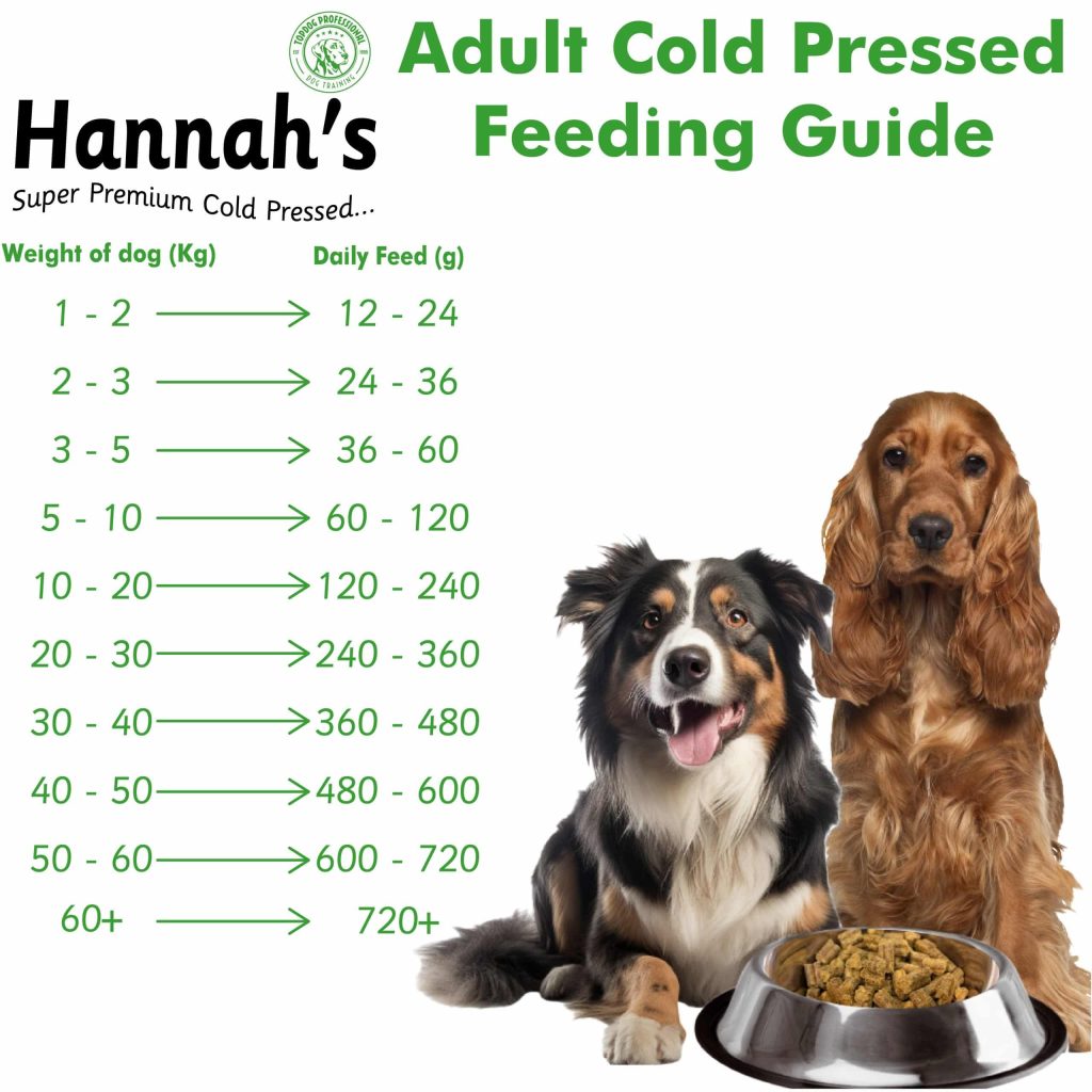 When Can You Feed Adult Dog Food