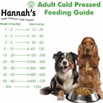 When Can You Feed Adult Dog Food