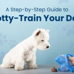 When Do Dogs Get Potty Trained