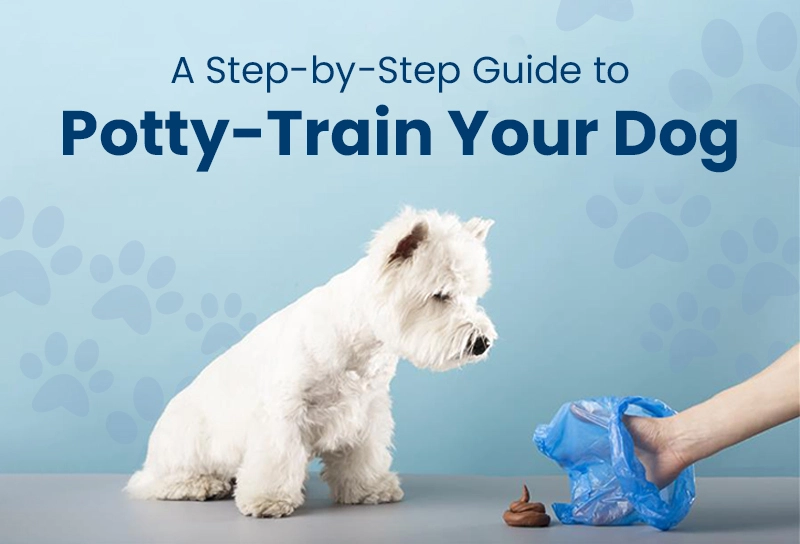 When Do Dogs Get Potty Trained