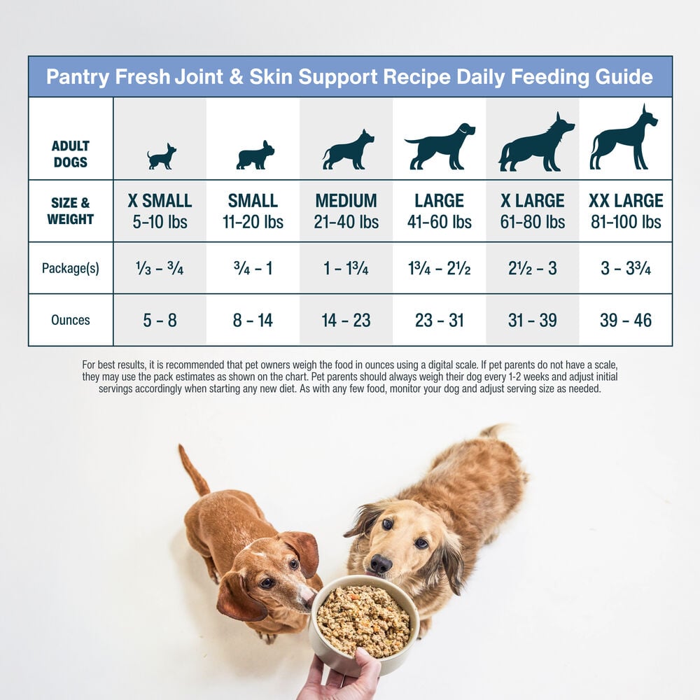 When Do I Feed My Dog Adult Food