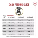 When Do I Start Feeding My Puppy Adult Dog Food