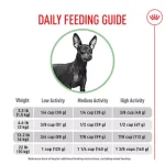 When Do.Yoh Start Giving a Small Breed Dog Adult Food