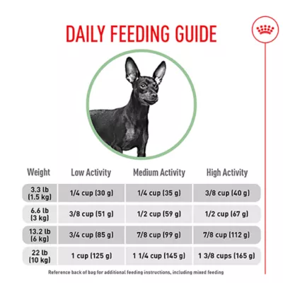 When Do.Yoh Start Giving a Small Breed Dog Adult Food