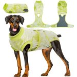 When is Best Time to Breed Dog in Heat