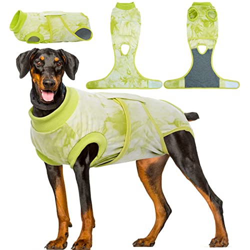 When is Best Time to Breed Dog in Heat