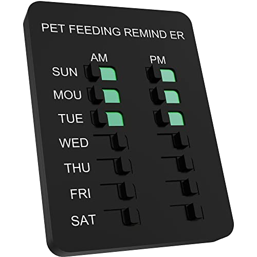 When is the Best Time to Feed a Dog