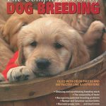 When is the Best Time to Mate a Female Dog