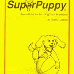 When is the Best Time to Train a Dog