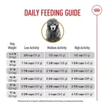 When Should My Toy Poodle Charge to Adult Dog Food