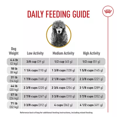 When Should My Toy Poodle Charge to Adult Dog Food