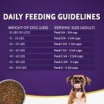 When to Fed Adult Dog Food