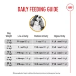 When to Feed Dog Adult Food to Cavalier
