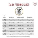 When to Give French Bulldog Adult Dog Food