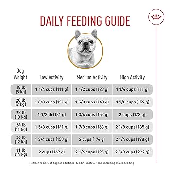 When to Give French Bulldog Adult Dog Food