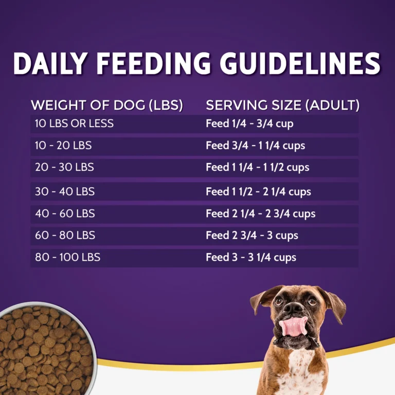 When to Start Eeding Adult Dog Food