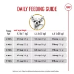 When to Start Giving Puppy Adult Dog Food