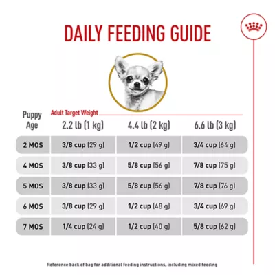 When to Start Giving Puppy Adult Dog Food