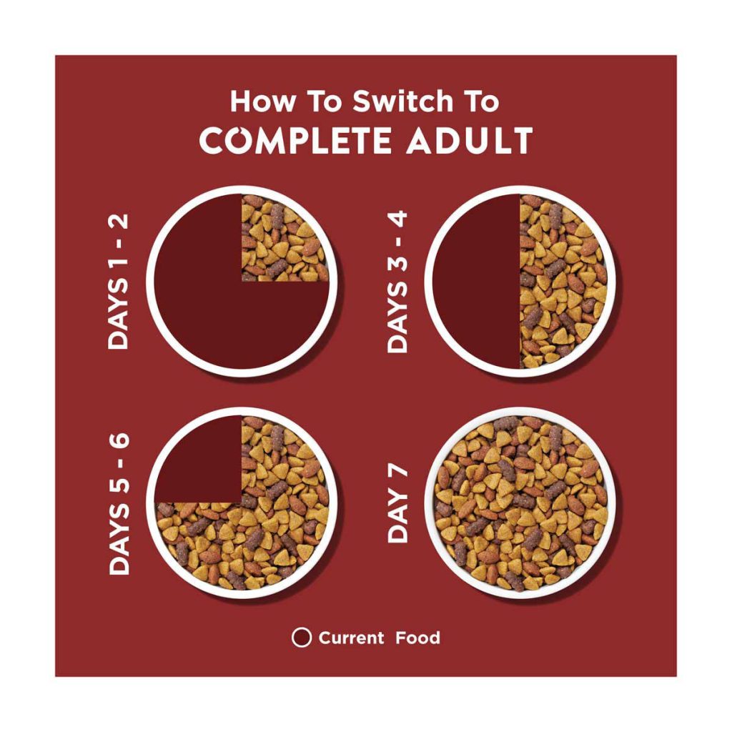 When to Switch Adult Dog Food