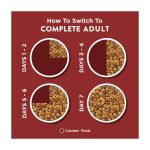 When to Switch Adult Dog Food