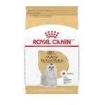 When to Switch Maltese to Adult Dog Food